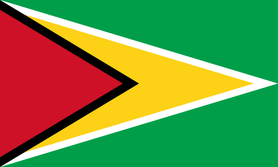 National Flag of Guyana